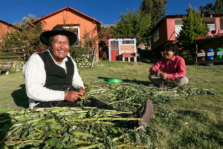 Three-day Luquina family homestay with Lake Titicaca island tour