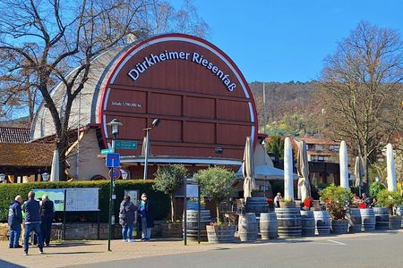 Bad Dürkheim wine tour from Heidelberg with tastings