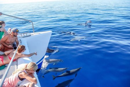 Dolphin and whale watching trip from Madeira