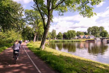 Countryside bike tour with windmill, cheese and clogs