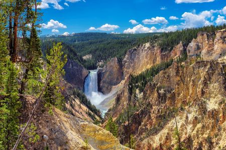 Yellowstone Lower Loop full-day tour