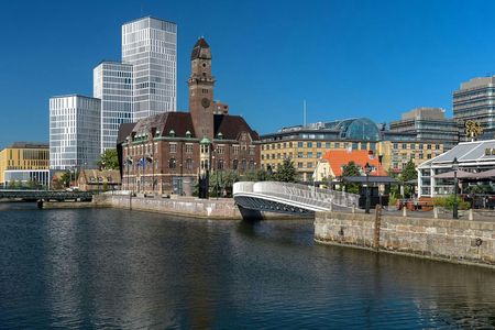 Malmö walking tour with a local