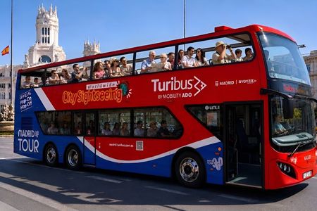 City Sightseeing 24 or 48-hour Madrid panoramic tour