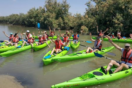 Short kayak tour in Venetian Lagoon