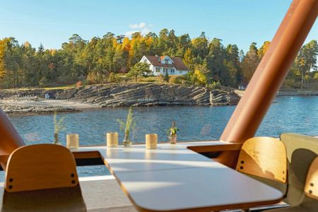 Silent Oslofjord cruise