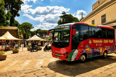 Day tour to Pompeii from Naples
