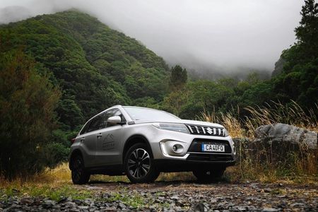 Madeira's North Side express private tour