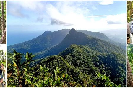 Mount Matchinchang Geoforest Park summit hiking experience