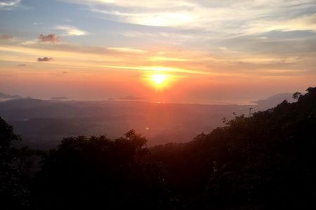 Langkawi rainforest guided tour after dark