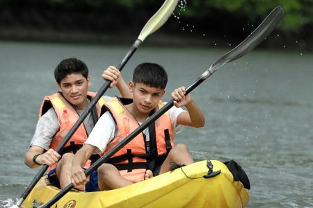 Langkawi mangrove river kayaking tour