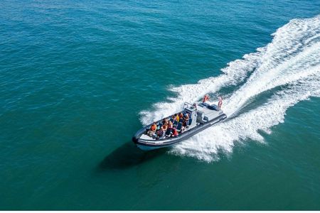 Albufeira dolphins and Benagil caves RIB boat tour