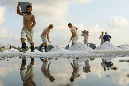 Trapani salt pans, museum and windmill guided tour