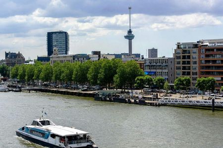 Self-guided audio tour to Rotterdam, Kinderdijk and Dordrecht