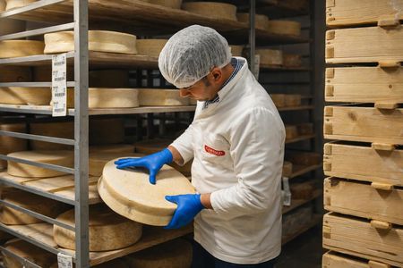 Discover the secrets of cheese ageing on the Lake Como Mountains
