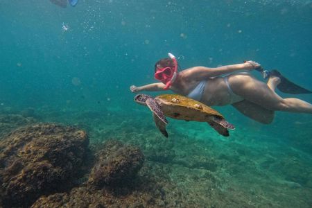 Fujairah snorkelling adventure