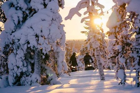 Snowmobiles and huskies in Lapland