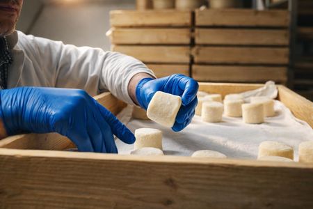 Cheese factory tour and gourmet tasting on Lake Como Mountains