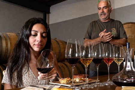 Half-day winery tour with wine tasting and tapas