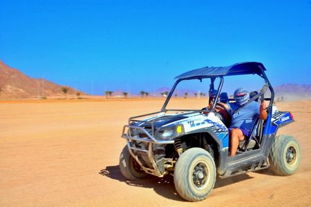 Sand Buggy Evening Experience with Dinner and Show in Hurghada Desert