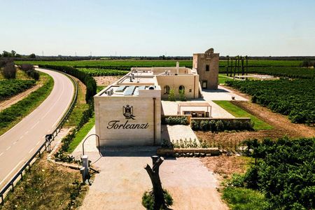 Guided tasting of six wines with a sommelier at Masseria Torleanzi