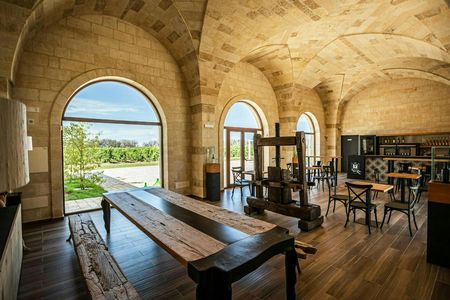 Guided tour and tasting of four wines at Masseria Torleanzi
