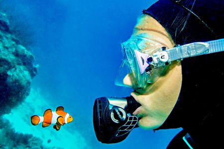 Intro diving for beginners and Red Sea cruise in Sharm El Sheikh