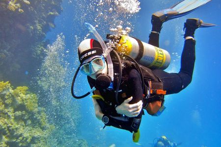 Diving experiences and courses in Marsa Alam