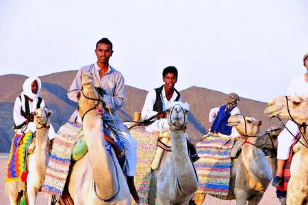 Quad experience with camel ride in the desert of Marsa Alam