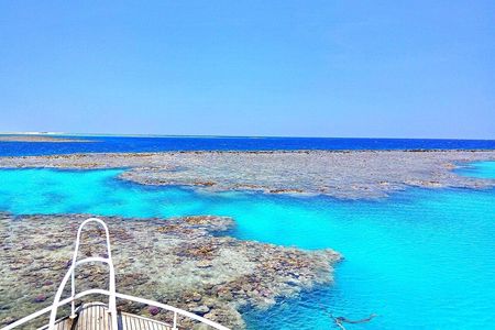 Hamata Snorkeling Cruise from Marsa Alam with Lunch and Drinks