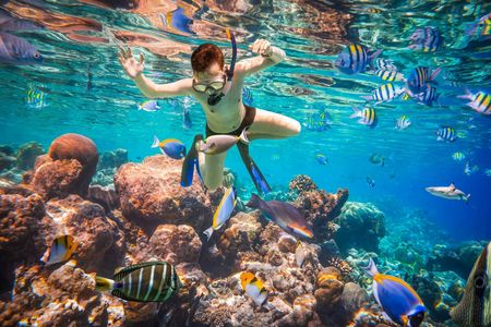 Port Ghalib Snorkeling Cruise from Marsa Alam with Lunch and Drinks