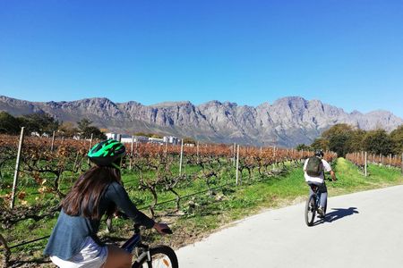 Franschhoek Winelands 7 hour Private E-Bike Tour with Lunch