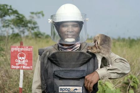 Siem Reap tour with HeroRATs and Lotus Silk Farm by tuk-tuk
