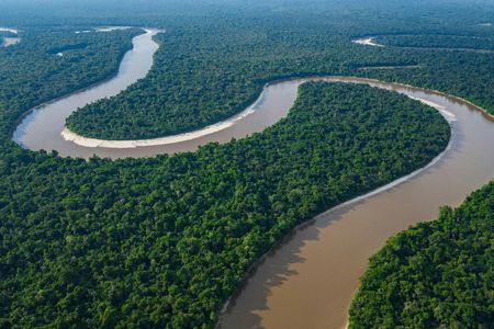 Amazon full-day jungle safari from Iquitos