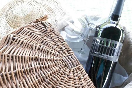 Assisi vineyard picnic and wine tasting