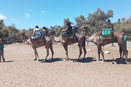 E-Bike city tour with camel safari across Maspalomas dunes