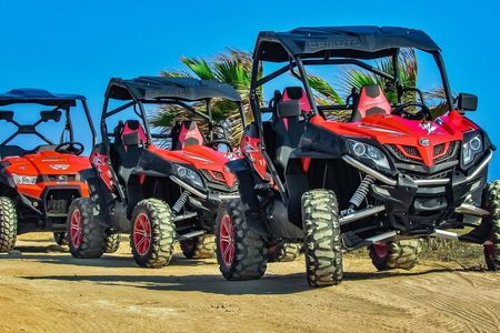 Super 4x4 safari with sand buggies and camel ride in Marsa Alam