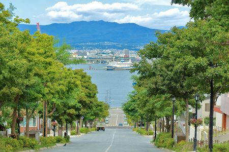 Private Hakodate excursion with Mount Hakodate and Goryokaku