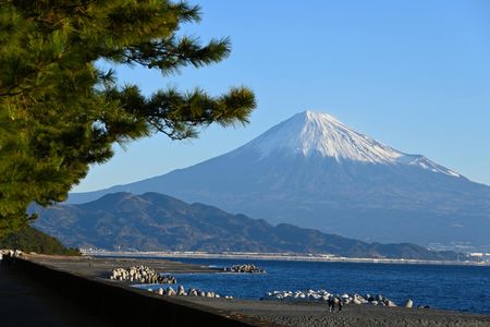 Shimizu private tour with Mount Fuji views and Kunozan Shrine