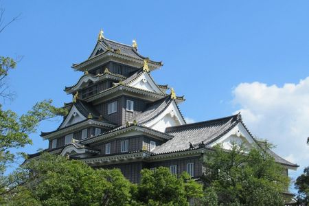 Okayama Castle private tour with Korakuen Garden