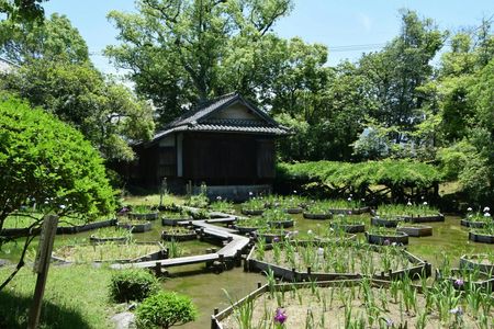 Yatsushiro private tour with Yatsushiro Shrine and Shohinken