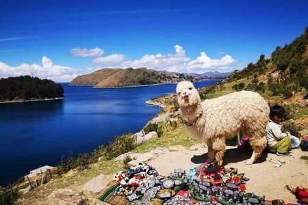 Copacabana and Isla del Sol guided day trip from La Paz