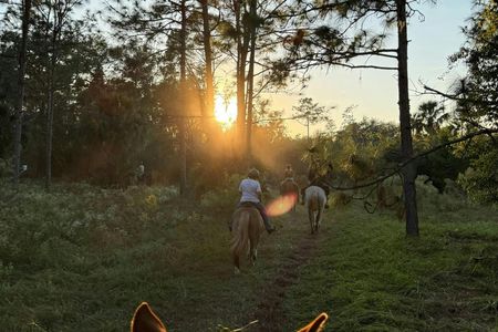 50-minute horseback trail ride in Central Florida