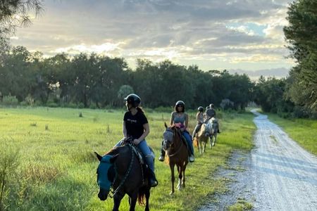 2-hour Central Florida forest horseback ride for all levels