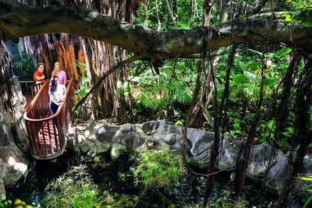 All inclusive admission at Loro Parque for a VIP experience