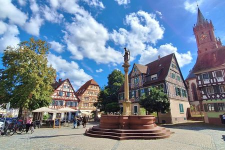 Half-day tour to Ladenburg medieval town from Heidelberg