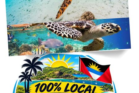 St John's snorkel with sea turtles at Green Island