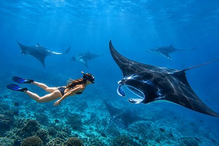 Private Nusa Penida all-inclusive snorkelling adventure