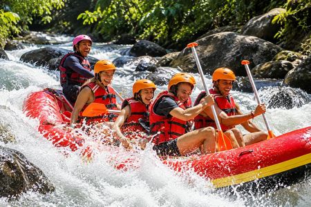 Half-day White water rafting adventure on the Ayung river