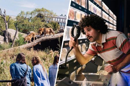 Admission ticket for Artis Royal Zoo and Micropia