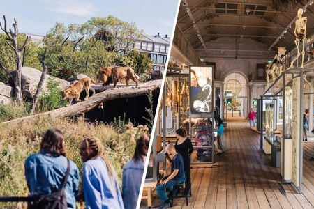 ARTIS Amsterdam Royal Zoo and ARTIS-Groote Museum Entrance Ticket